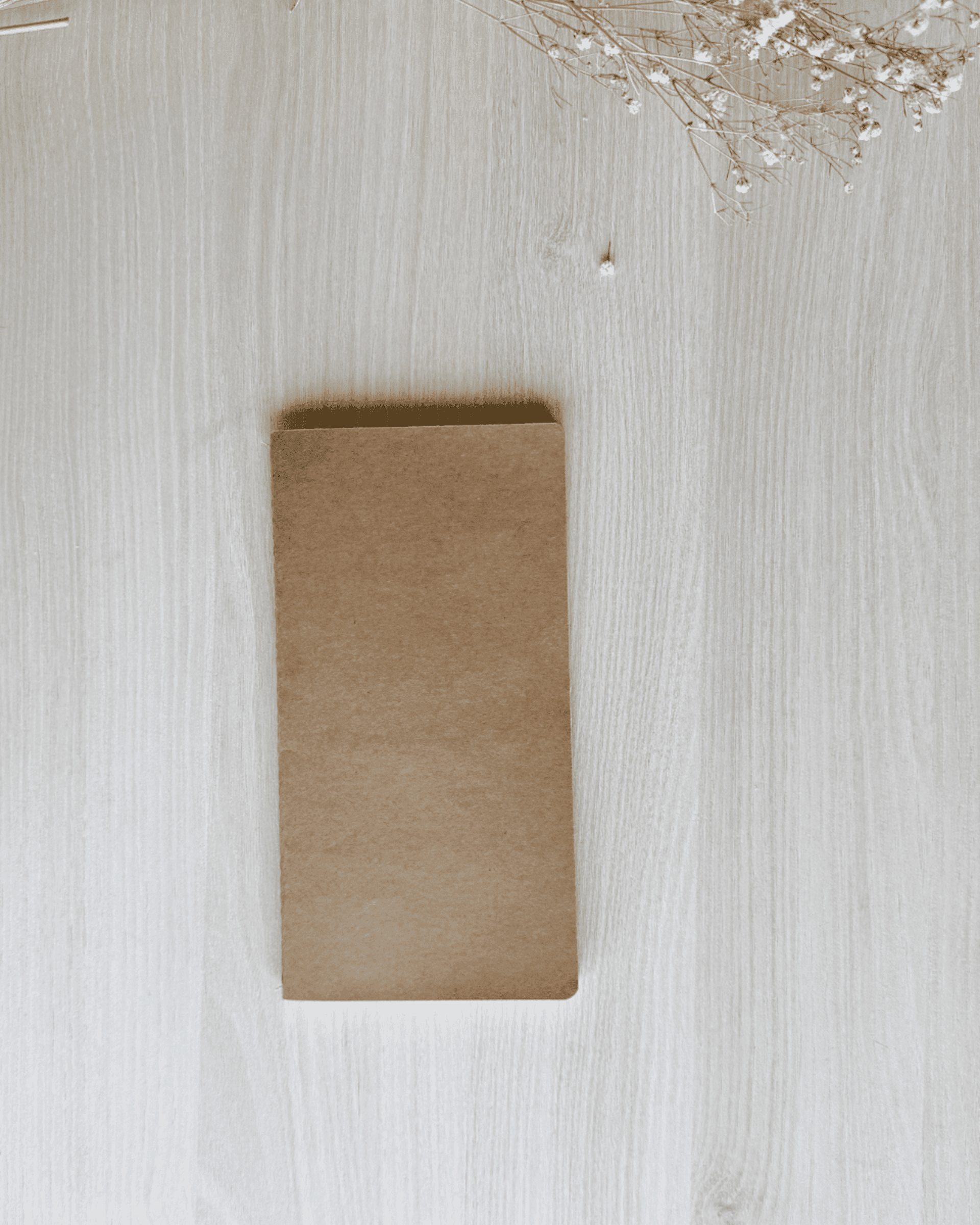 Journal de viaje - 1
