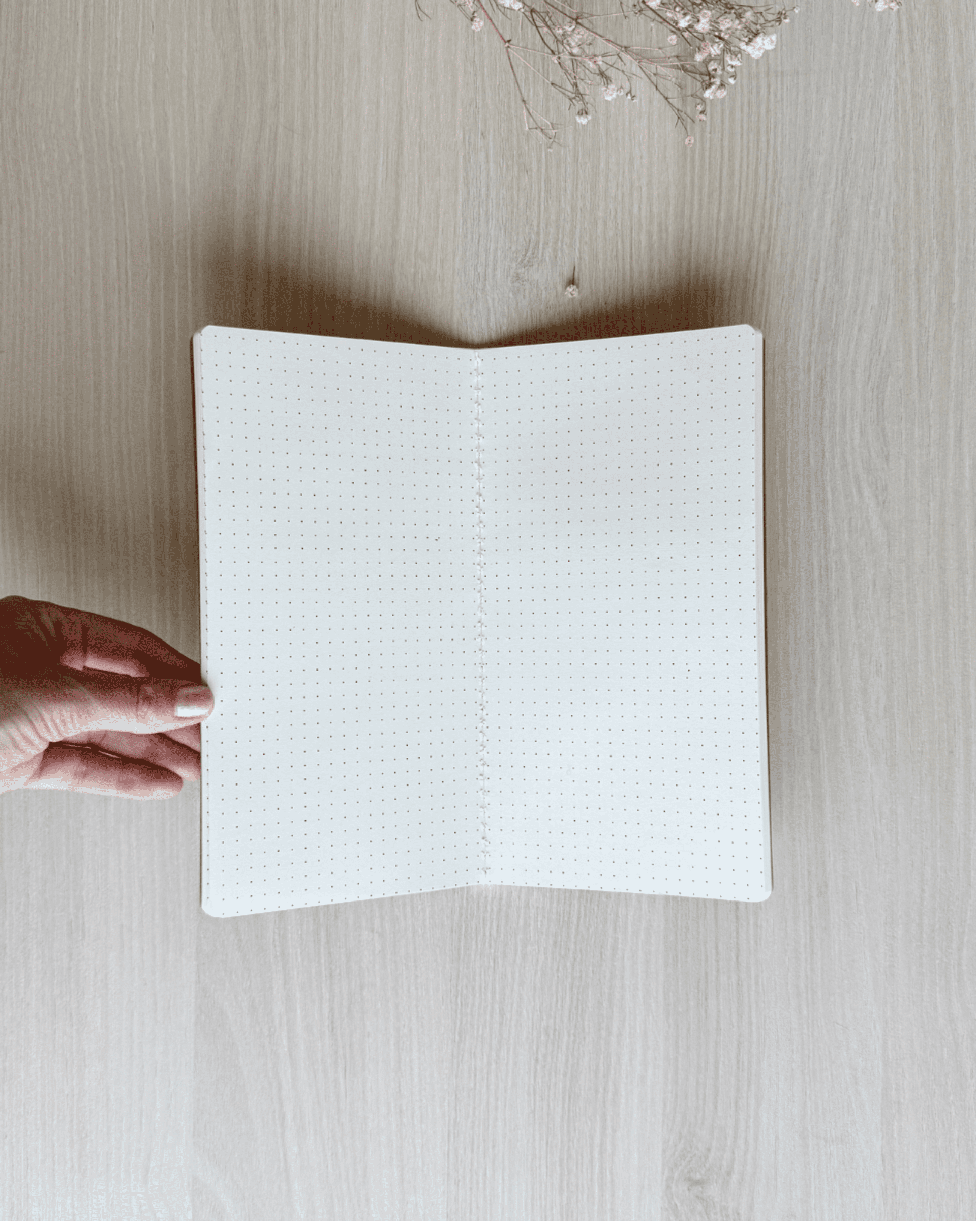 Journal de viaje - 2